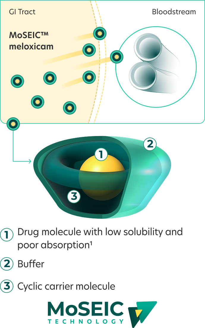 Diagram showing Improved solubility and rapid absorption of MoSEIC meloxicam from the GI tract to the bloodstream