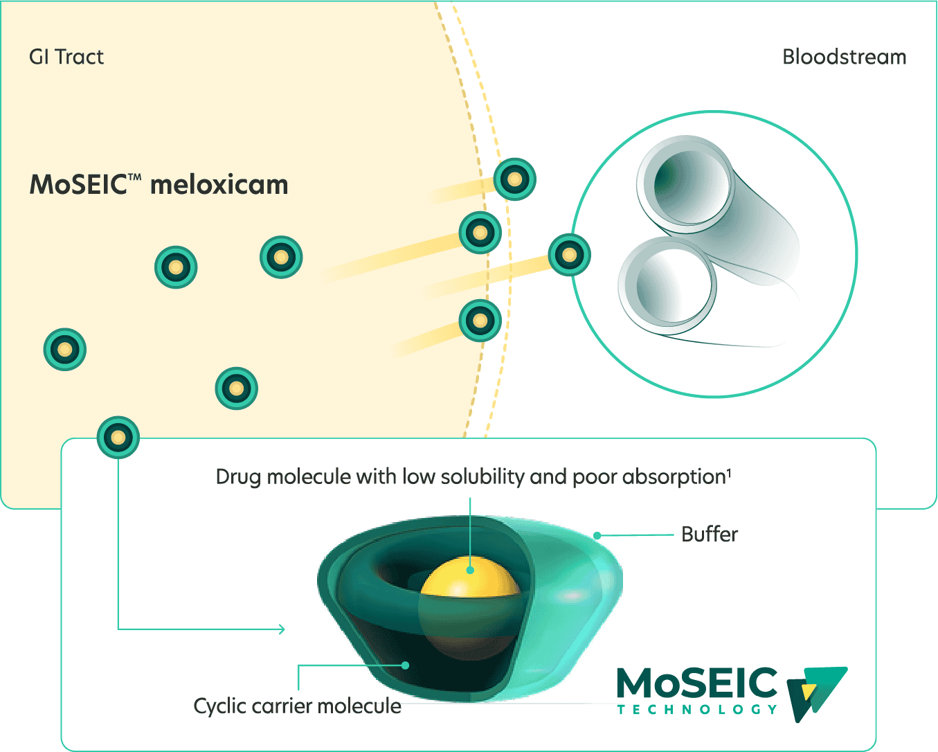 Diagram showing Improved solubility and rapid absorption of MoSEIC meloxicam from the GI tract to the bloodstream